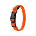LED Light-Up Pet Collar – USB Rechargeable, Adjustable, High-Visibility for Night Walks