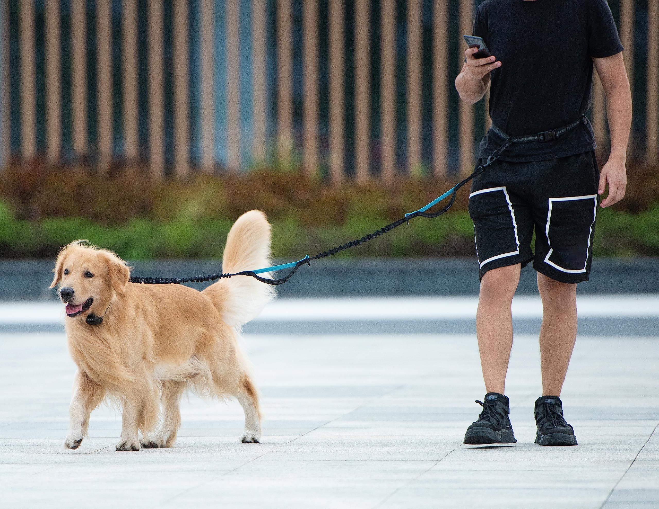 Hands-Free Bungee Dog Leash with Waist Belt & Pouch