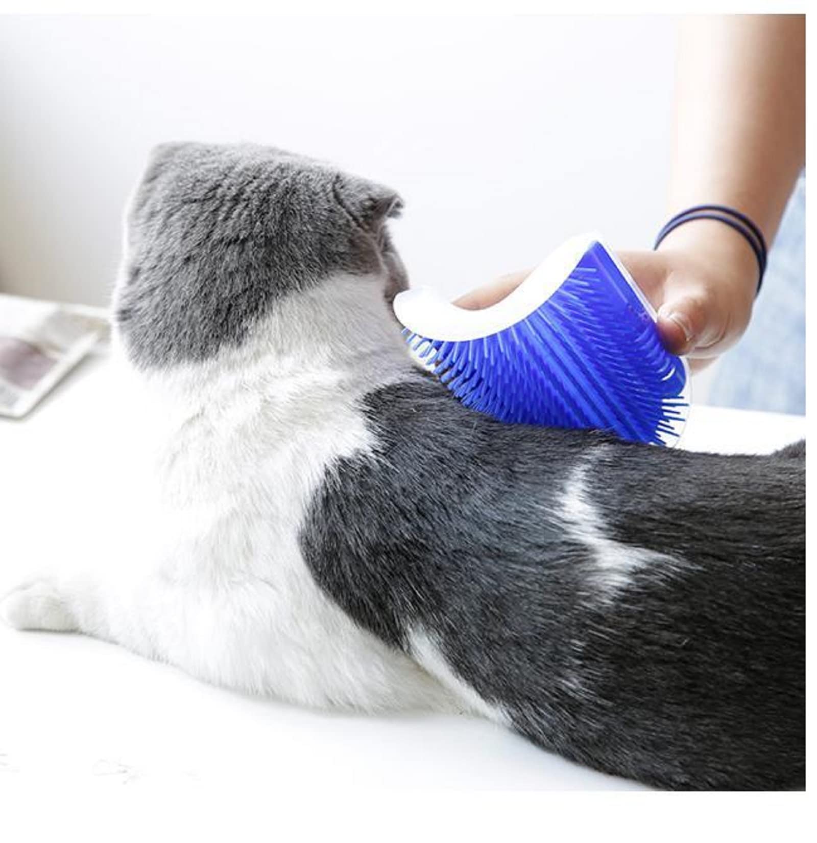 Cat Self-Grooming Corner Brush – Wall-Mounted Massage Comb with Catnip